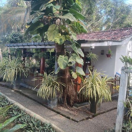 Lovers Green Villa Matara Dış mekan fotoğraf