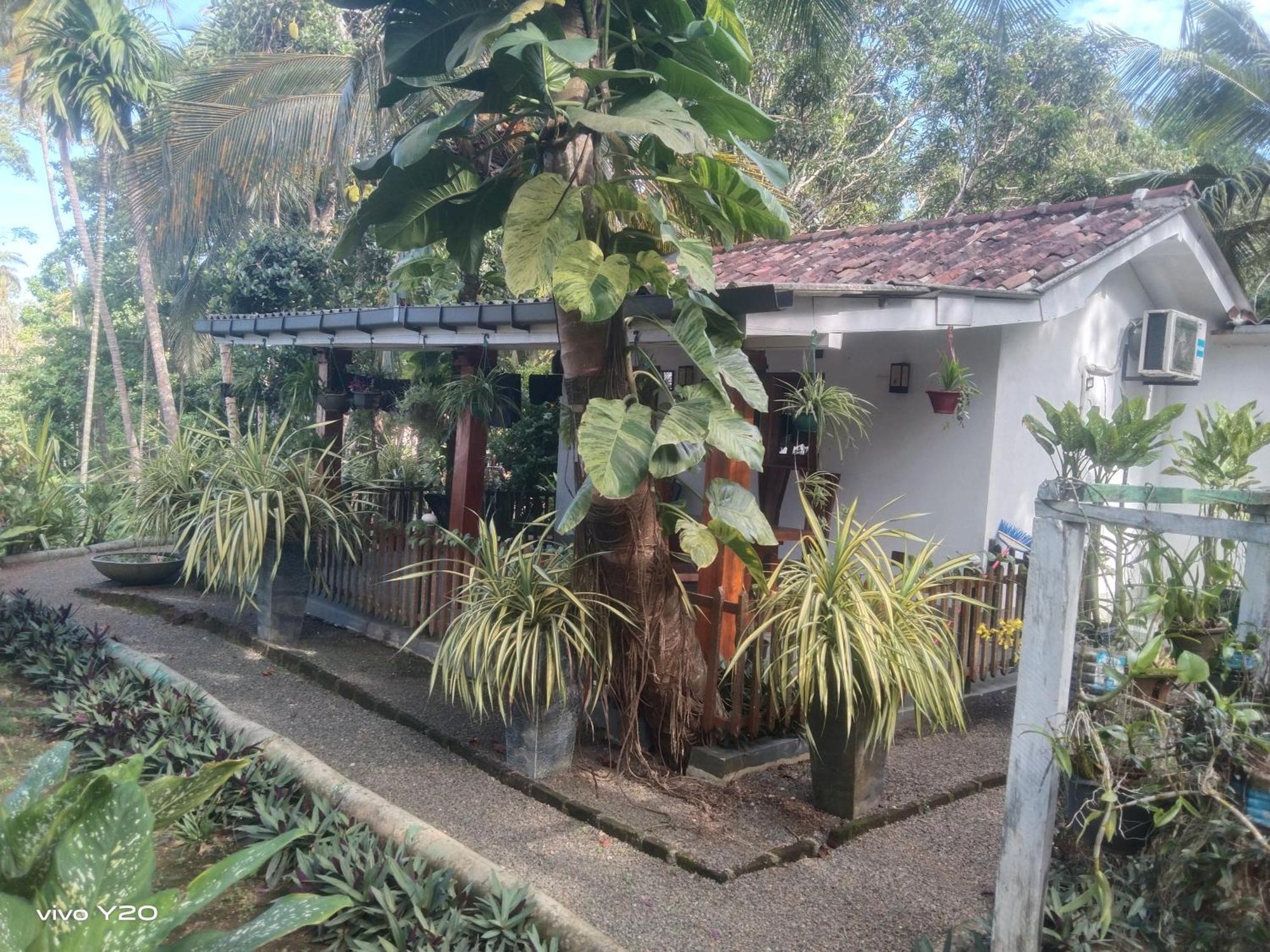 Lovers Green Villa Matara Dış mekan fotoğraf
